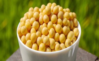 铁豆73大豆种子简介,属晚熟品种