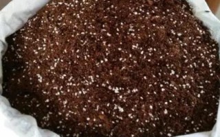 育苗基质50升是多少斤，重量约为5-8kg左右