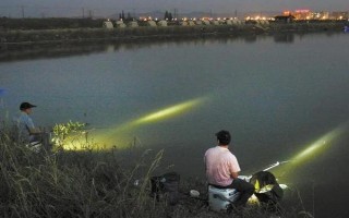 晚上钓鱼用蚯蚓好还是用饵好，用蚯蚓更好