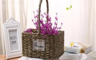 农村有哪些小工厂项目不愁销路，花生加工在城乡均有市场