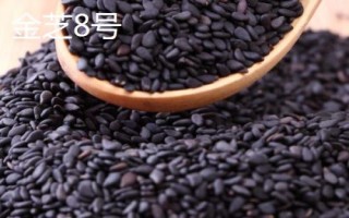哪个品种的芝麻香,根据环境气候选择品种