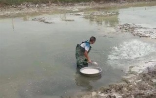 鱼塘鱼缺氧用什么药，可选择二氧化氯
