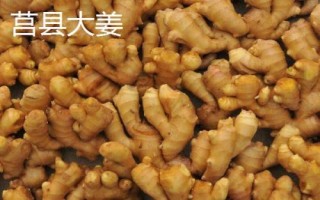 生姜的产地，我国东部、西南部等地区都有种植