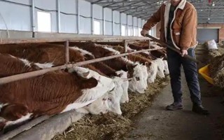 养殖户对于饲料成本与饲养成本的误区，饲料成本越低越好是一种错误的想法