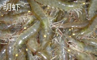 鲜活基围虾的价格，市场售价一般与规格有关