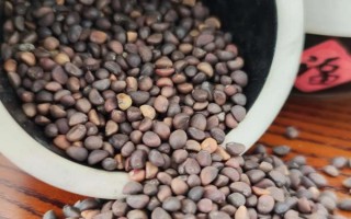 空心菜的种植方法，一般在4月下旬-5月上旬种植