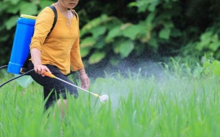 早上有露水打草甘膦行吗，可以打但会影响效果