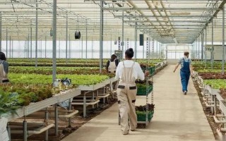 我国目前农业生产的主要经营方式，是家庭联产承包责任制