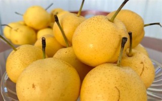 辽宁辽阳市有什么特色水果，有灯塔葡萄、前杜草莓等