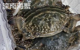河北曲阳县的特产,曲阳烧饼是当地的传统名点