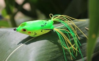 钓黑鱼用什么饵料容易上钩，可选择自然饵料或路亚拟饵