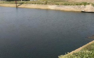 白刺盖太阳鱼的原产地，原产于墨西哥及美国北部地区