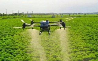 枯草芽孢杆菌的防治对象，可防治青枯病、溃疡病、性软腐等