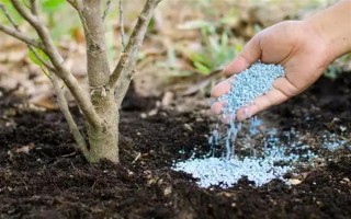 对植物使用硫酸亚铁的作用，能起到调节酸碱度、补充营养等效果