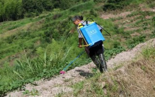 盖草能怎么使用，在杂草4叶期左右用药兑水喷雾