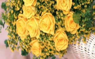 10朵黄玫瑰代表的意思，寓意着十全十美、无懈可击等