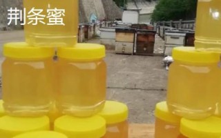 乌桕蜜和荆条蜜对比，后者的色泽和口感都要更好