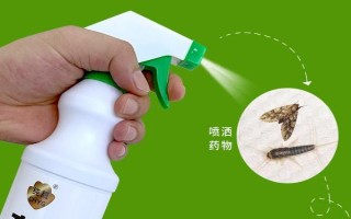 快速灭杀衣蛾的方法，可喷施净威灵衣蛾杀虫剂