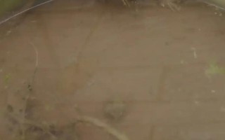 碗莲的水培方法，将种子播入花土中再浇水淹没