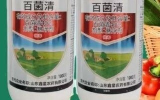 百菌清杀菌剂治什么病,主治稻瘟病、叶锈病、叶斑病等