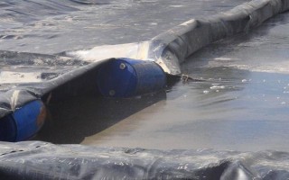 养猪有哪些注意事项，猪舍的温度应保持在10℃以上