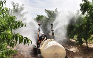 对果树使用农药的原则，选择正确的药物才能起到防效
