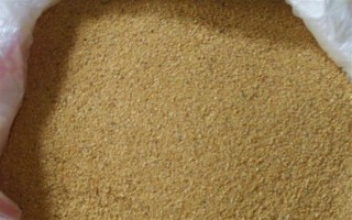 猪不能吃哪些食物，不可吃大蒜、生姜等