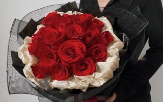 红玫瑰的花语,寓意我爱你、忠贞不渝等