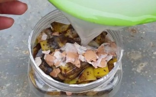 怎么把水果皮做成花肥,洗净切碎后装入容器中发酵
