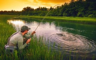 鲫鱼钓几目有明显顿口，调四钓二、调五钓三均可观察到明显的顿口