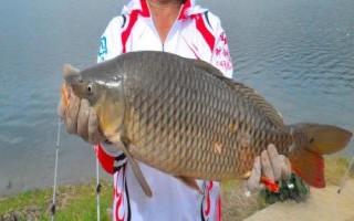 野钓鲤鱼有哪些饵料比较好用,蚯蚓、玉米、红薯均为不错的选择