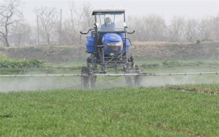 冬季打农药要注意什么，在晴天高温时段用药效果更好