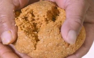 垂钓鳊鱼的适宜深度，0.5-1米的深度较合适