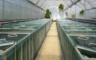 养殖黄鳝的要点，每隔5-7天要换1次水