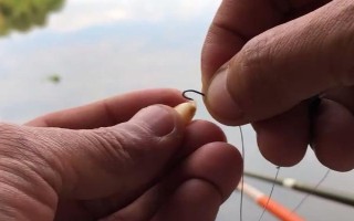 玉米钓鱼什么季节最好，从春季末期到秋季初期都适合