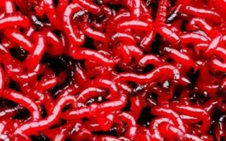 筏钓的最佳钓点,养殖网箱下面堪称最佳钓点
