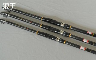 矶竿十大品牌介绍，迪佳、达亿瓦、禧玛诺等品牌具有很高的知名度