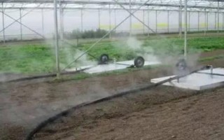 蛴螬怎么能杀光，灾害严重地区可在秋冬翻地将越冬虫翻出地表