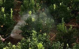 混用除草剂的原则,混合后药物的化学性质不能出现变化