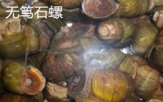 广东省阳春市的特产,马水桔在国内外享有盛名