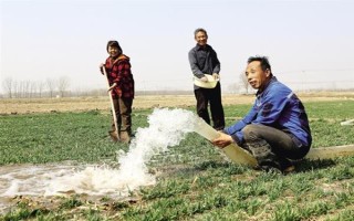 冬小麦怎么管理，每次降雨或浇水后都要中耕保墒