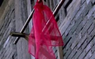 高层鸽子驱赶方法，在窗台边悬挂红布具有驱赶效果