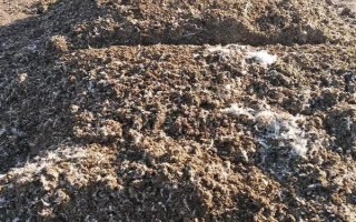 种植韭菜用什么肥料，不同生长阶段所需肥不同