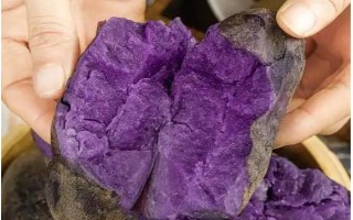 紫土豆的种植前景，营养丰富且用途多