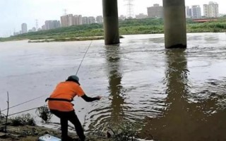 夏钓适宜位置,河汊口是绝佳钓位