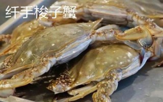 白蟹和梭子蟹有什么区别，二者没有区别只是叫法不同