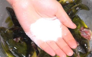 怎么清洗黄骨鱼，用水冲洗后再用开水烫一下