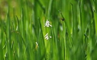 什么是春分，属于24节气之一