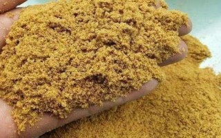 玉米怎么钓草鱼，有“素饵之王”的美誉