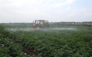 马铃薯晚疫病有什么症状，叶片发病会出现暗绿色水渍状斑点